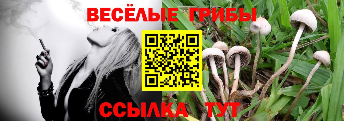 Ливны  Галлюциногенные грибы мухоморы  Вход с VPN  Псилоцибиновые грибы GOLDEN TEACHER 